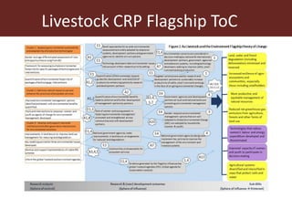 Embracing Theory of Change 