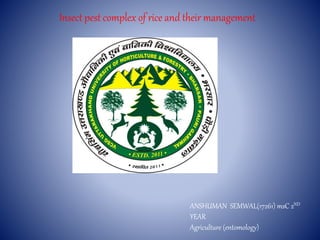 Insect pest complex of rice and their management
ANSHUMAN SEMWAL(17261) msC 2ND
YEAR
Agriculture (entomology)
 