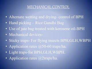IPM in rice | PPTX