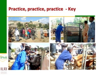 Technological options and approaches to improve supply of desirable animal genetic material: IPMS Experience