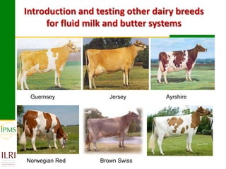 Technological options and approaches to improve supply of desirable animal genetic material: IPMS Experience