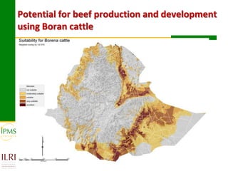 Technological options and approaches to improve supply of desirable animal genetic material: IPMS Experience