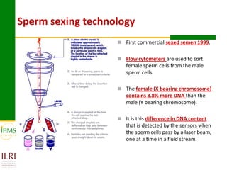Technological options and approaches to improve supply of desirable animal genetic material: IPMS Experience