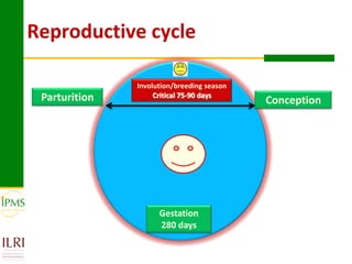 Technological options and approaches to improve supply of desirable animal genetic material: IPMS Experience