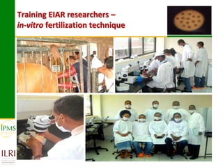 Technological options and approaches to improve supply of desirable animal genetic material: IPMS Experience