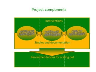 IPMS Project background and approach