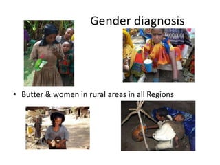 IPMS Project background and approach