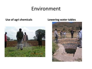 IPMS Project background and approach