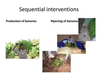 IPMS Project background and approach