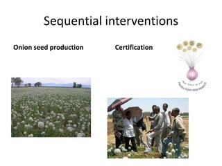 IPMS Project background and approach