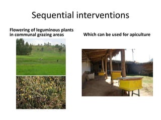 IPMS Project background and approach