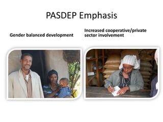 IPMS Project background and approach