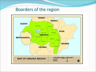 Oestrus synchronization plan of Amhara Region