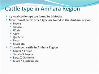 Oestrus synchronization plan of Amhara Region
