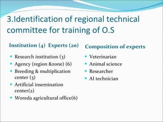 Oestrus synchronization plan of Amhara Region