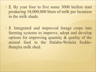 2 . By year four to five some 3000 heifers start producing 18,000,000 liters of milk per lactation in the milk shade. 3 . Integrated and improved forage crops into farming systems to improve, adopt and develop options for improving quantity & quality of the animal feed in the Halaba-Wolaita Soddo- Butajira milk shed. 