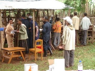 Alternatives to improve field AI delivery system to enhance beef and dairy system in South region: Experiences, lessons and plans