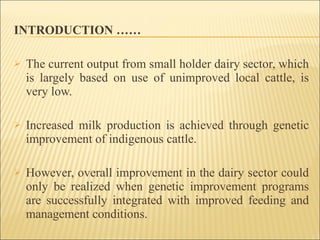 Alternatives to improve field AI delivery system to enhance beef and dairy system in South region: Experiences, lessons and plans