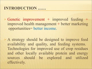 Alternatives to improve field AI delivery system to enhance beef and dairy system in South region: Experiences, lessons and plans