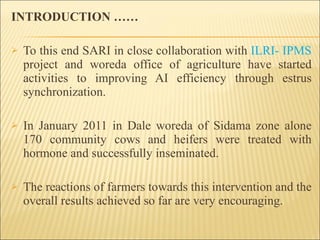 Alternatives to improve field AI delivery system to enhance beef and dairy system in South region: Experiences, lessons and plans