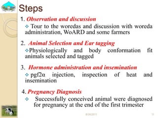 Past experiences and next year plan of dairy synchronization in Tigray 