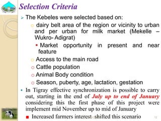Past experiences and next year plan of dairy synchronization in Tigray 