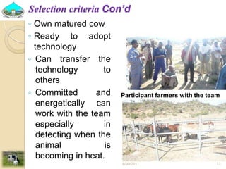 Past experiences and next year plan of dairy synchronization in Tigray 