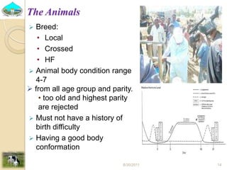 Past experiences and next year plan of dairy synchronization in Tigray 