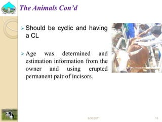 Past experiences and next year plan of dairy synchronization in Tigray 