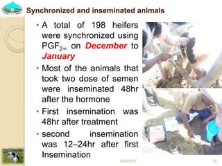 Past experiences and next year plan of dairy synchronization in Tigray 
