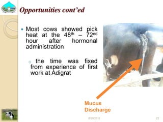Past experiences and next year plan of dairy synchronization in Tigray 