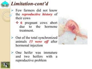 Past experiences and next year plan of dairy synchronization in Tigray 