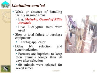 Past experiences and next year plan of dairy synchronization in Tigray 
