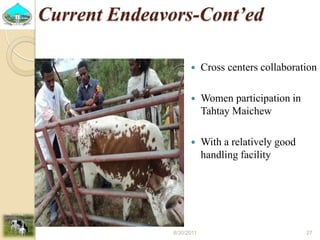 Past experiences and next year plan of dairy synchronization in Tigray 