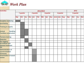Past experiences and next year plan of dairy synchronization in Tigray 