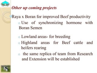 Past experiences and next year plan of dairy synchronization in Tigray 