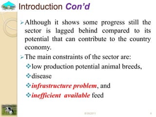 Past experiences and next year plan of dairy synchronization in Tigray 