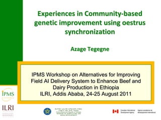 Experiences in Community-based genetic improvement using oestrus synchronizationAzage Tegegne IPMS Workshop on Alternatives for Improving Field AI Delivery System to Enhance Beef and Dairy Production in Ethiopia ILRI, Addis Ababa, 24-25 August 2011 