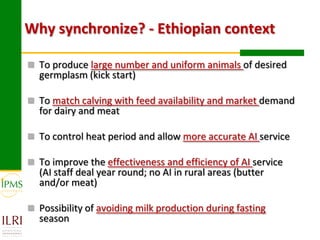 Experiences in community-based genetic improvement using oestrus synchronization