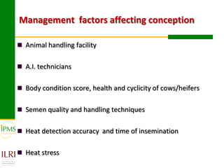 Experiences in community-based genetic improvement using oestrus synchronization