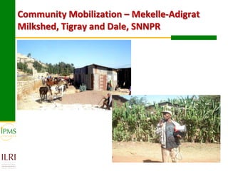 Experiences in community-based genetic improvement using oestrus synchronization