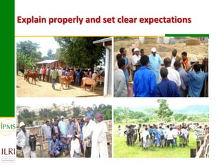 Experiences in community-based genetic improvement using oestrus synchronization