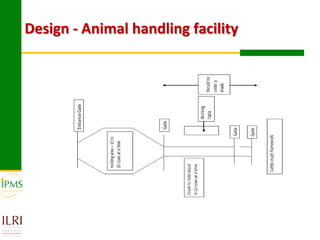 Technical, organizational and institutional arrangements for effective delivery of oestrus synchronization program