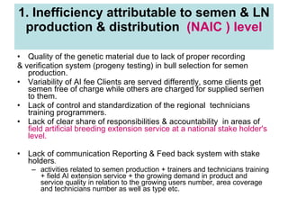 National performance and plan for AI activities and services