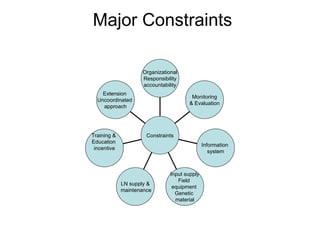 National performance and plan for AI activities and services