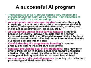 National performance and plan for AI activities and services