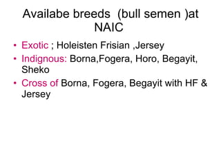 National performance and plan for AI activities and services