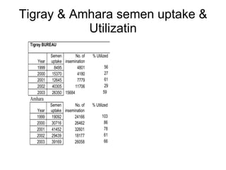 National performance and plan for AI activities and services