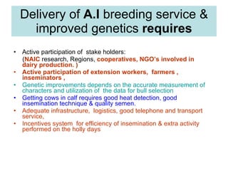National performance and plan for AI activities and services