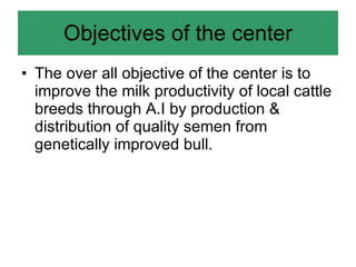 National performance and plan for AI activities and services